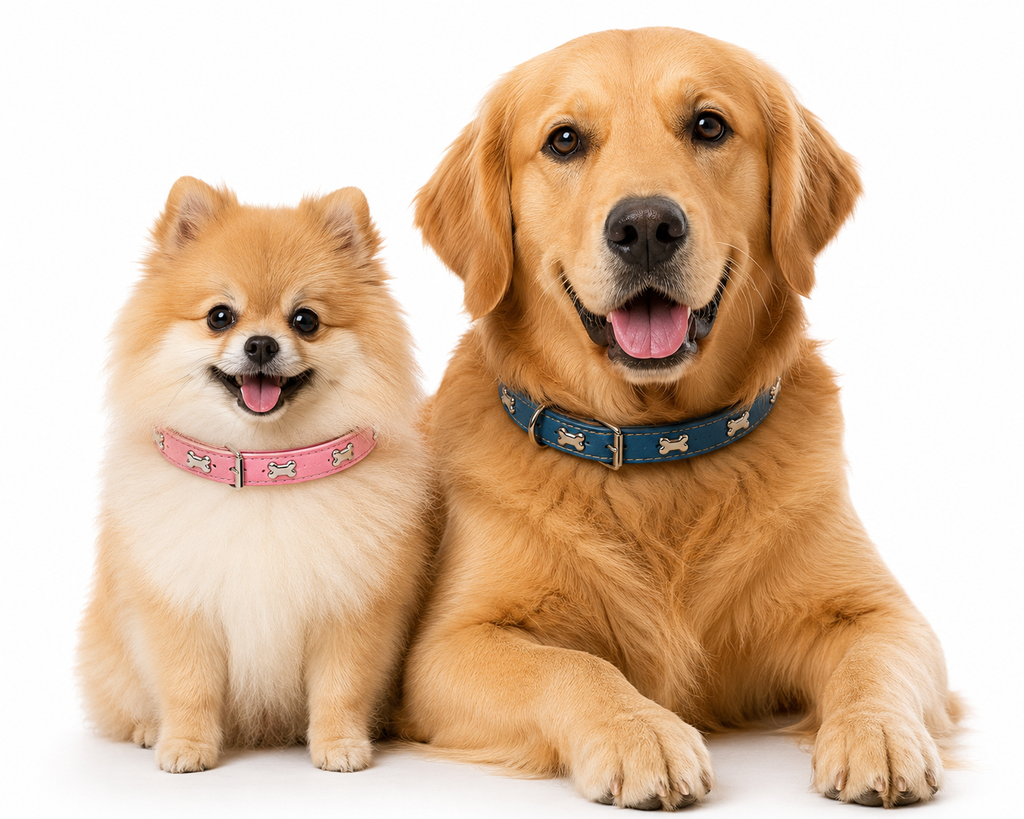 Coleira Colar de Couro com Design de Ossinho para Cães e Gatos - imagem 3