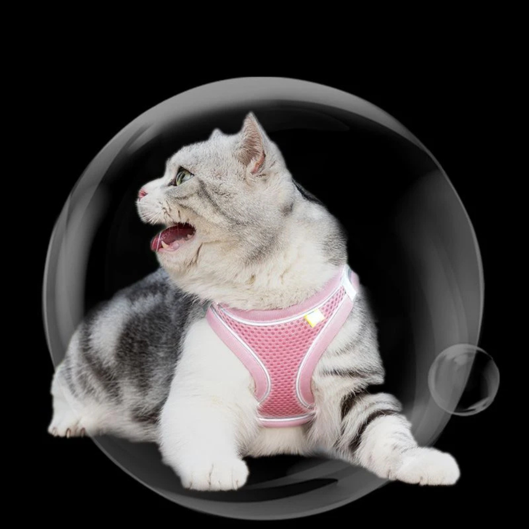 Coleira Peitoral com Guia à Prova de Fugas para Gatos - imagem 6