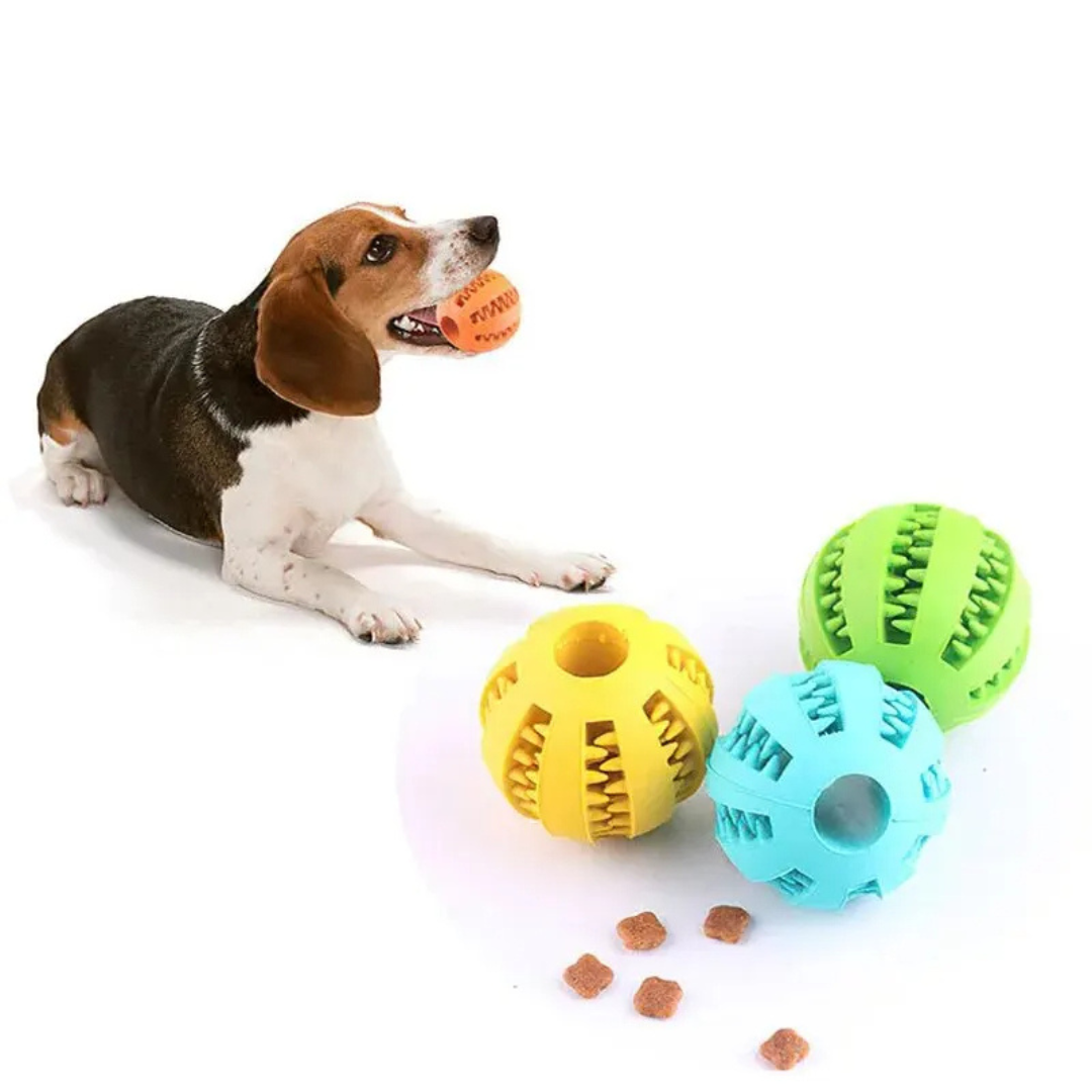 Bolinha Pet Dog Toy Ball Petisqueira - imagem 1