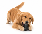 Brinquedo Kong Classic Interativo para Cachorros - imagem 12