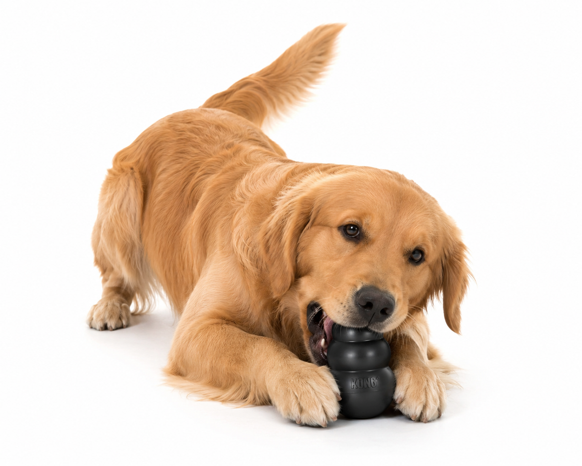 Brinquedo Kong Classic Interativo para Cachorros - imagem 12