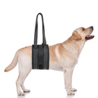 Suporte Sling Apoio para Cachorros com Dificuldade de Caminhar Lesão - Arnês