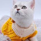 Fashion Tricot - PrestigePaws™  Para Cachorro e Gato