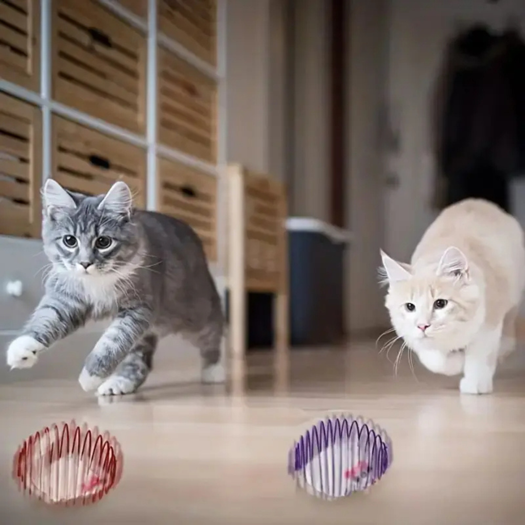 Brinquedo Mola Elástica para Gatos - StretchBall - imagem 5