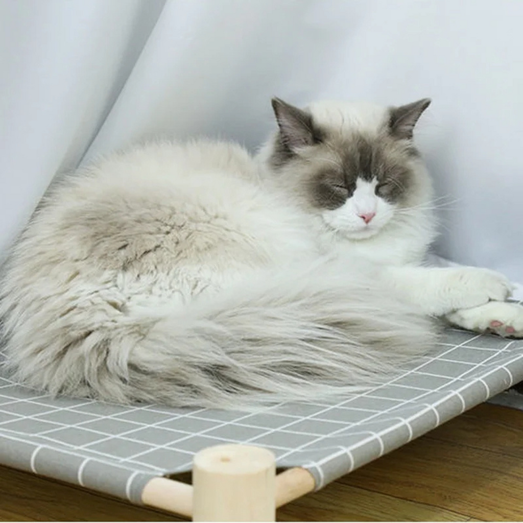 Cama Rede Suspensa para Gatos