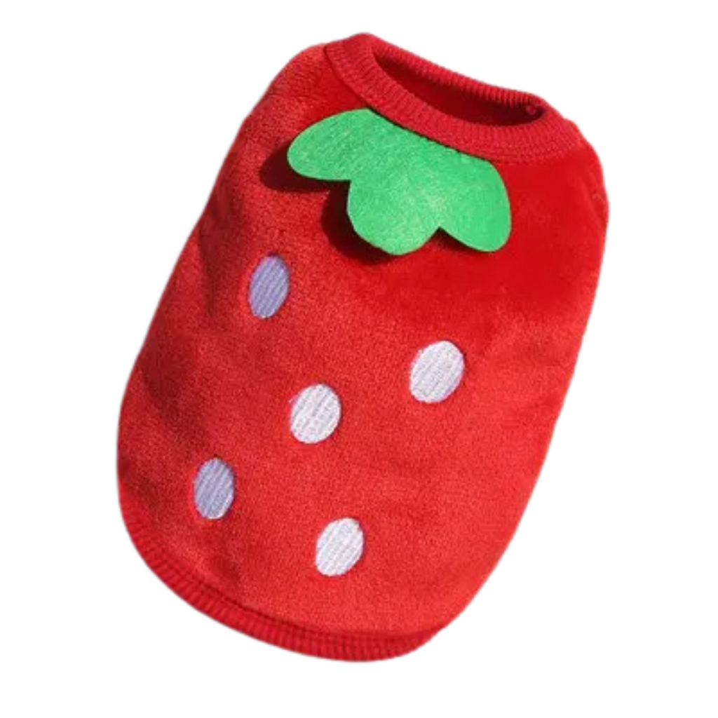 Roupinha Pet de Lã Soft Fofinha de Inverno Para Cachorros Pequeno Porte