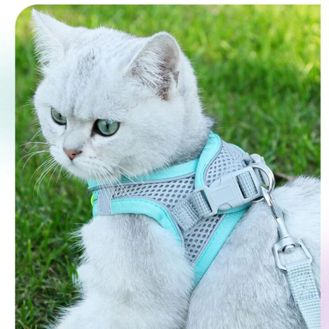 Coleira Peitoral com Guia à Prova de Fugas para Gatos - imagem 5
