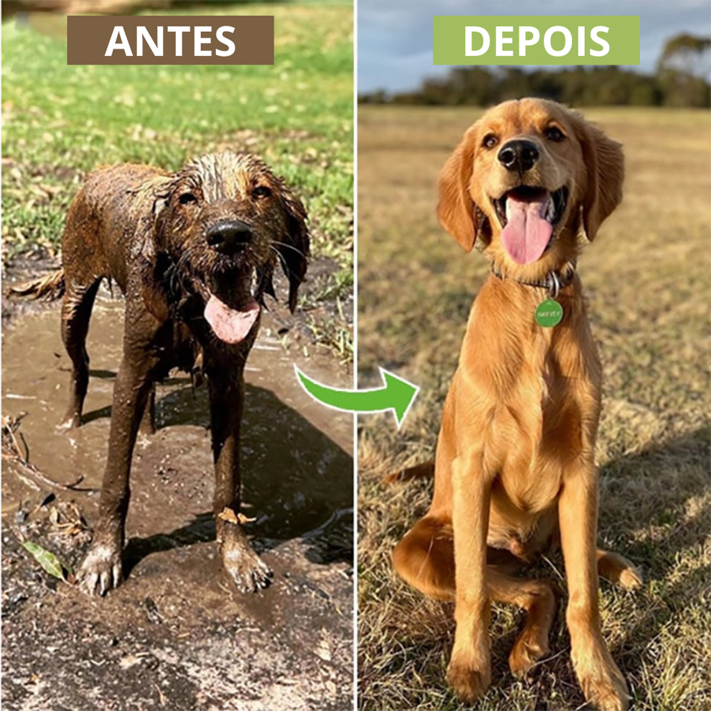 Chuveirinho com Pulverizador de Shampoo – Banho Prático e Econômico para Pets