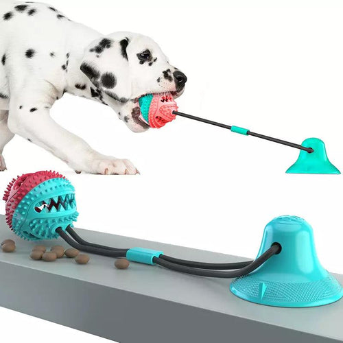 Bola Petisqueira com Corda - Brinquedo Mordedor Para Cachorros