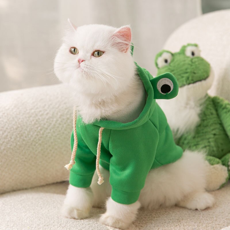 Moletom Amazing Frog - CatStyle™ Para Gatos
