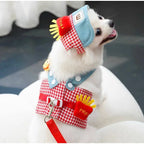 Kit Peitoral com Guia e  Boné para Passeios para Cães e Gatos
