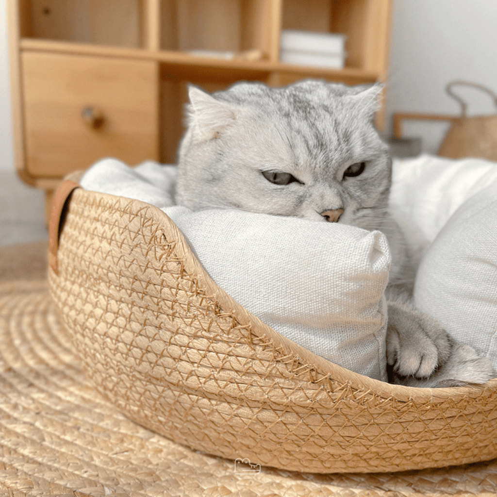 Cama de Bambu Natural para Pet com Travesseiros - Woofline™