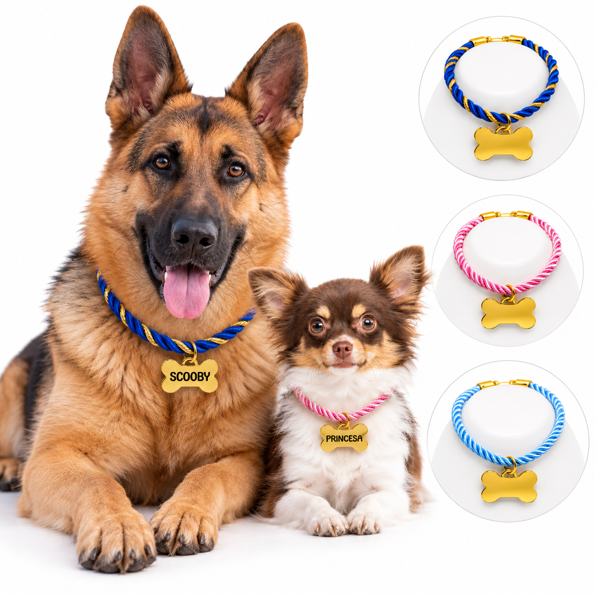 Coleira Personalizada com Plaquinha de Identificação para Cães e Gatos