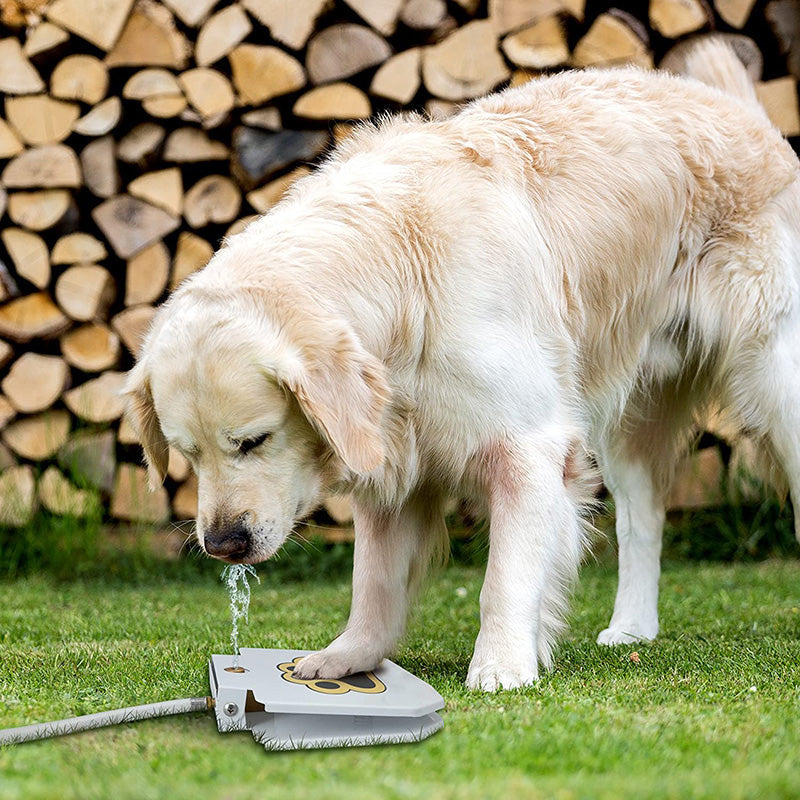 Bebedouro Brinquedo Interativo para Cães de Metal – Água Fresca ao Acionar a Pata