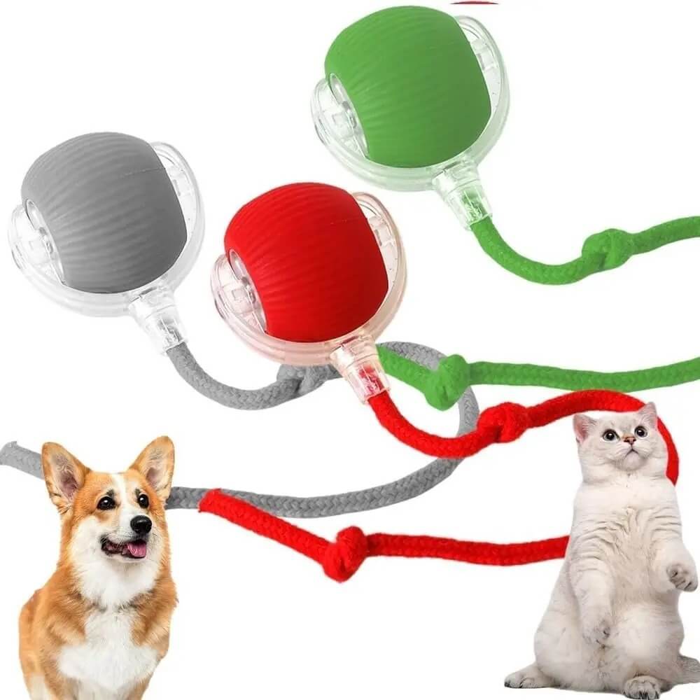 Bolinha Interativa Automática Sensor - Furrish™