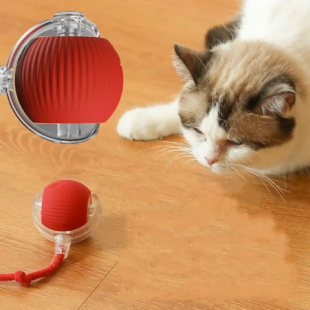 Bolinha Interativa Automática Sensor - Furrish™