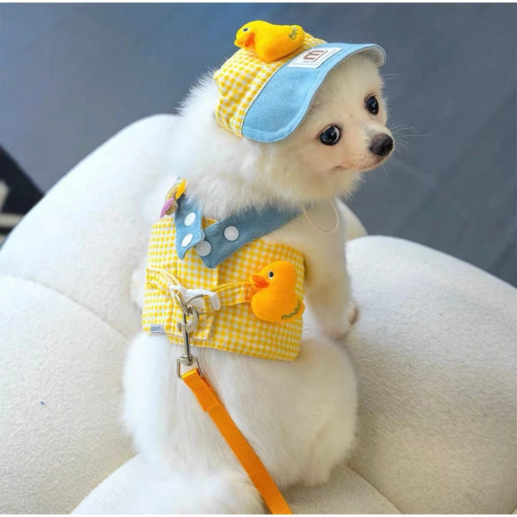 Kit Peitoral com Guia e  Boné para Passeios para Cães e Gatos