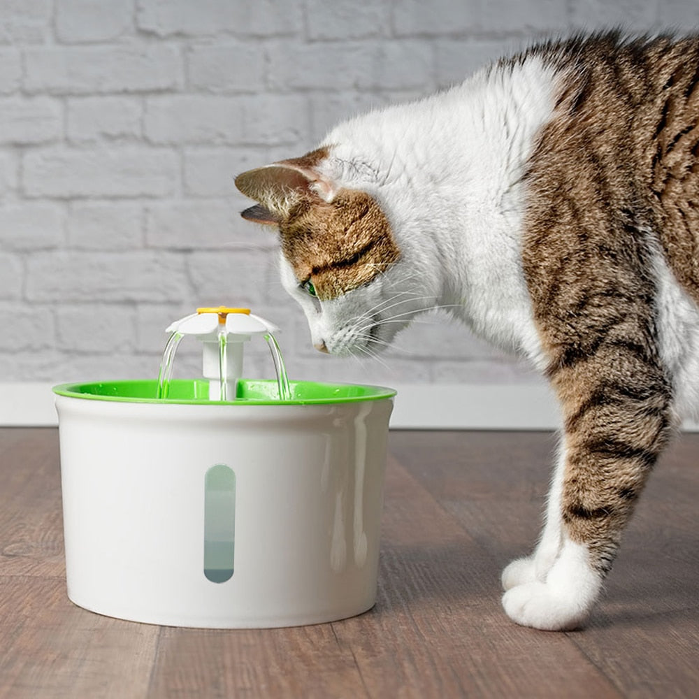 Fonte de Água Para Gatos - Catit Fonte Flower