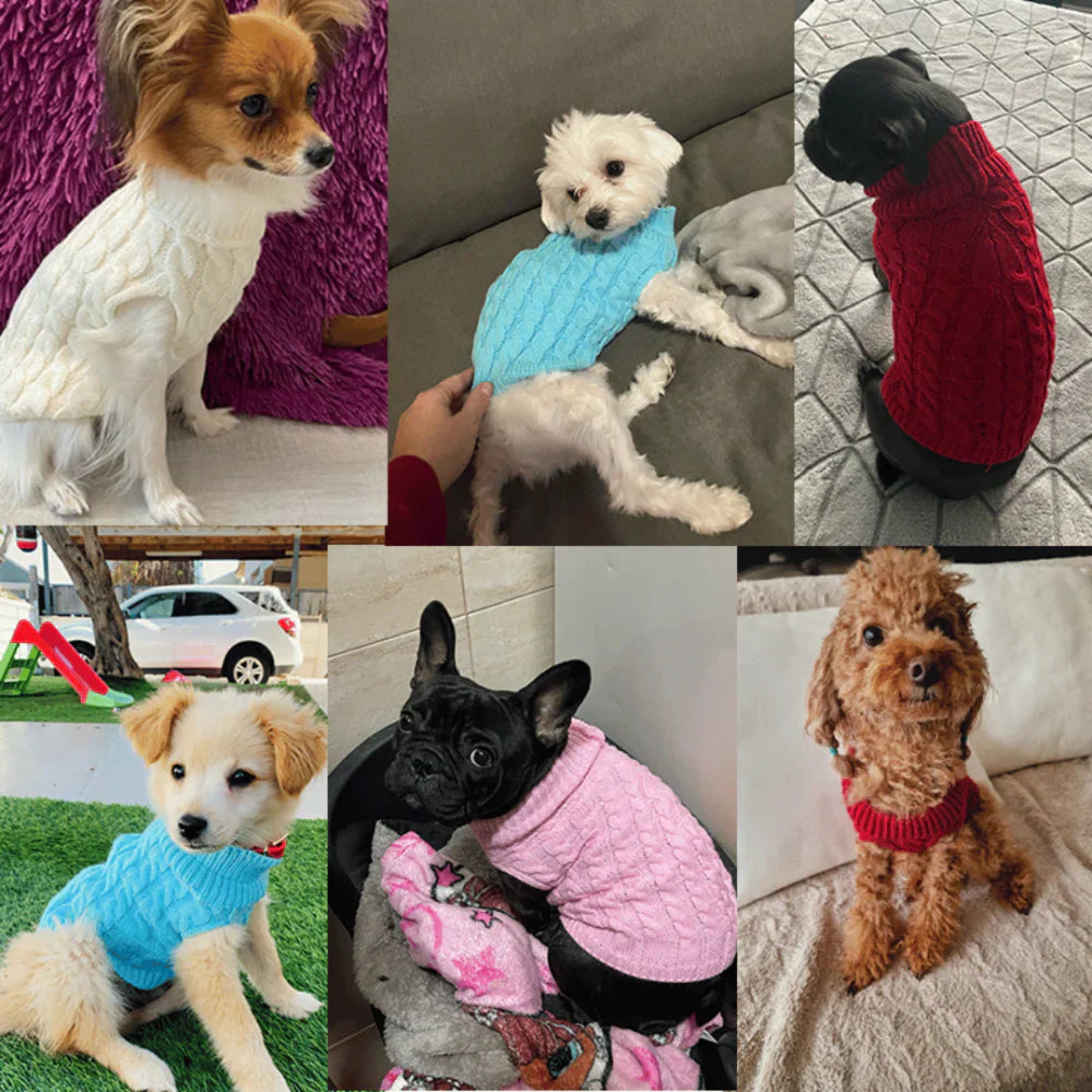 Suéter de Lã Premium - WinterPaws para Cães - imagem 17
