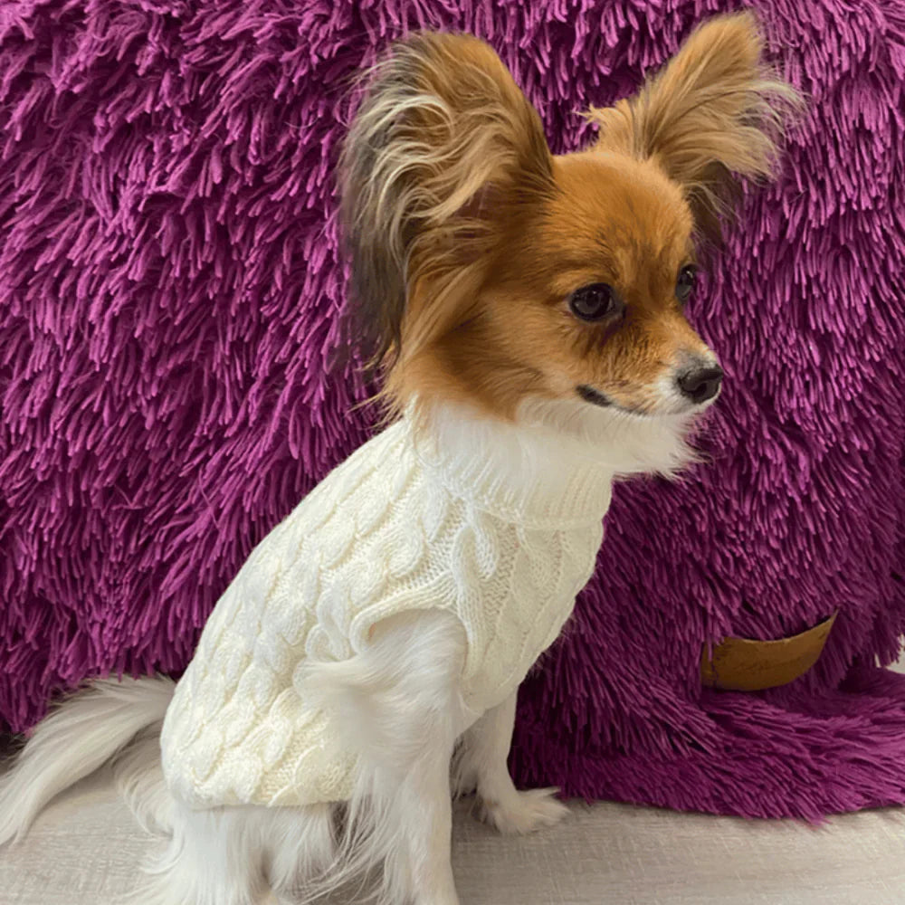 Suéter de Lã Premium - WinterPaws para Cães - imagem 15