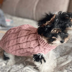 Suéter de Lã Premium - WinterPaws para Cães - imagem 16