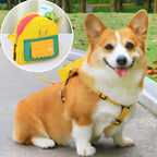 Mochila Pet com Peitoral e Guia Para Animais - Conforto e Praticidade para Passeios